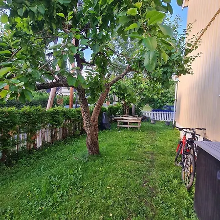 Cosy House, And Tranquil Oslo